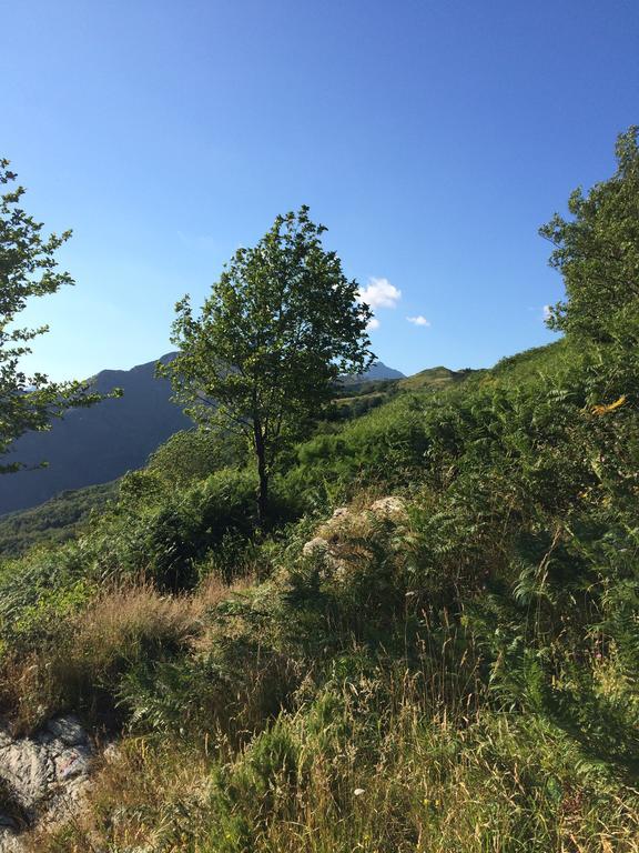 Casa Marta Villa Pescaglia Kültér fotó