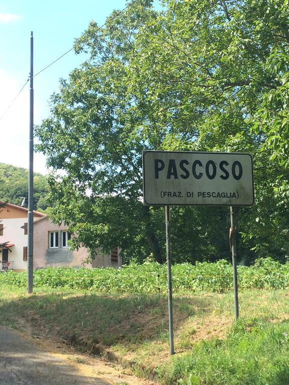 Casa Marta Villa Pescaglia Kültér fotó